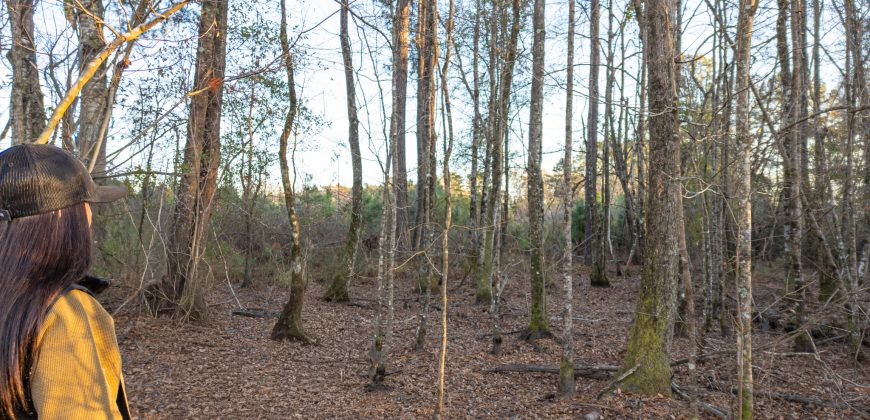 Dodge County Sanctuary