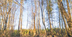 Dodge County Sanctuary