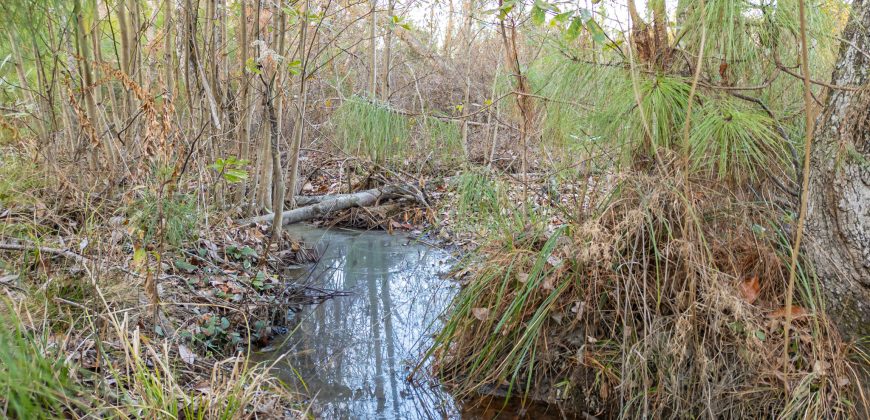 Dodge County Sanctuary