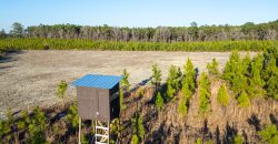 Dodge County Sanctuary