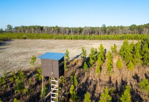 Dodge County Sanctuary