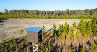 Dodge County Sanctuary