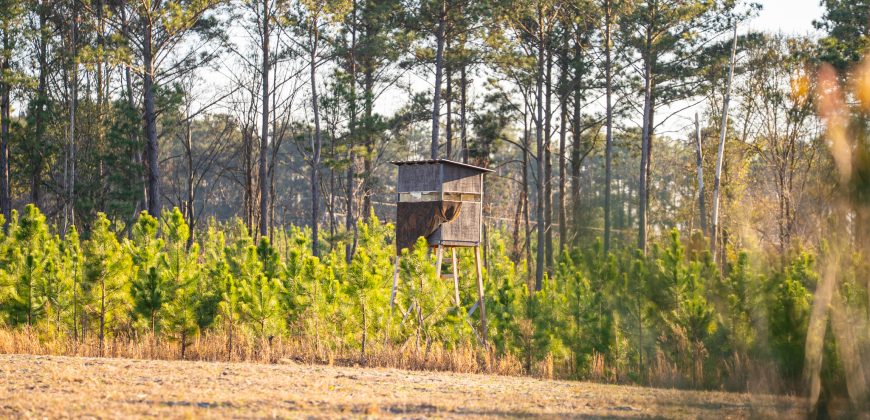 Dodge County Sanctuary