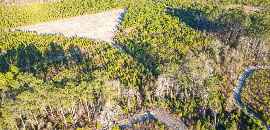 Dodge County Sanctuary