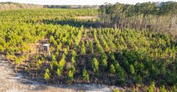 Dodge County Sanctuary