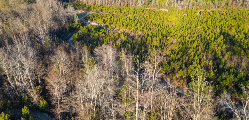 Dodge County Sanctuary