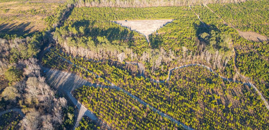 Dodge County Sanctuary