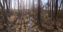 Laurens County Whitewater CreeK Farm