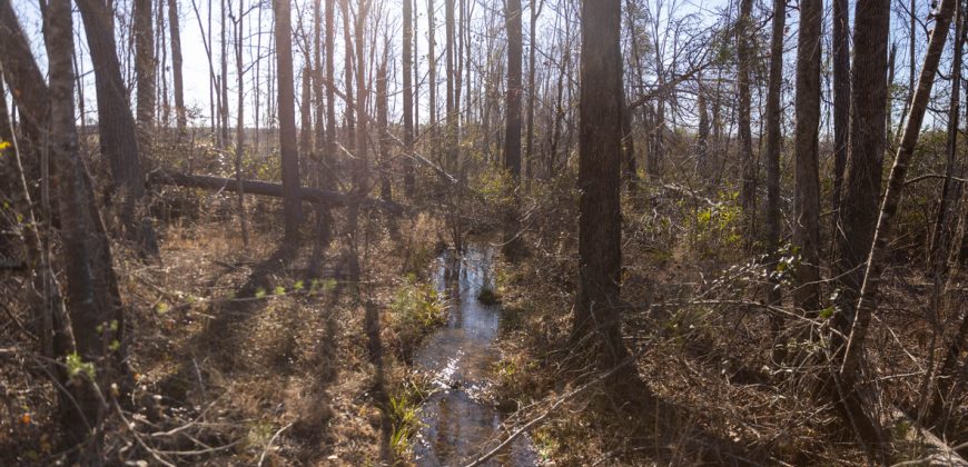 Laurens County Whitewater CreeK Farm