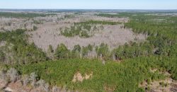 Wilcox Olcmulgee River Corridor Farm