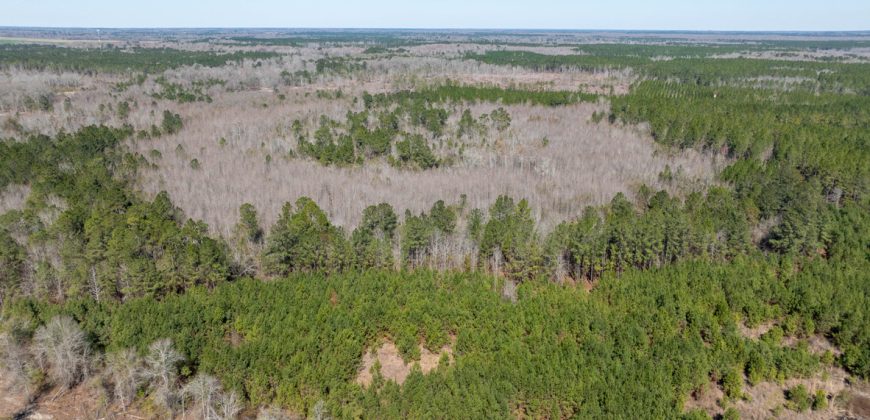 Wilcox Olcmulgee River Corridor Farm