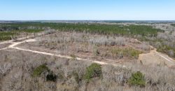 Wilcox Olcmulgee River Corridor Farm
