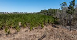 Wilcox Olcmulgee River Corridor Farm