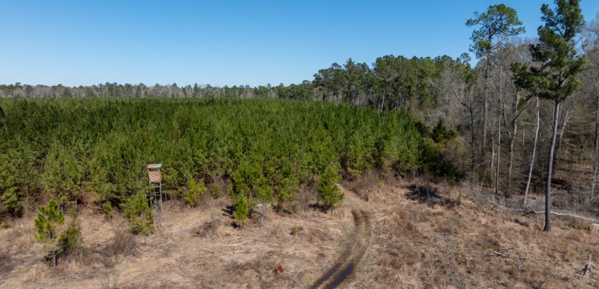 Wilcox Olcmulgee River Corridor Farm
