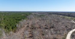Wilcox Olcmulgee River Corridor Farm