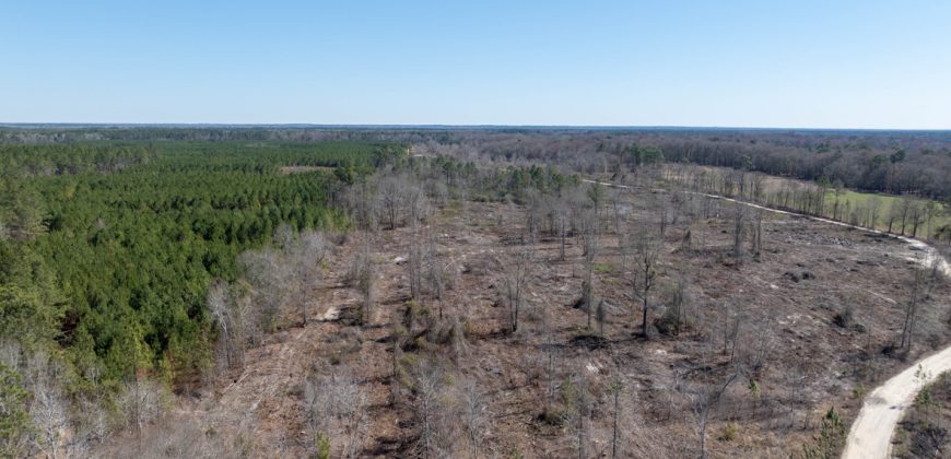 Wilcox Olcmulgee River Corridor Farm