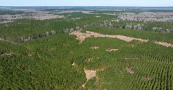 Wilcox Olcmulgee River Corridor Farm