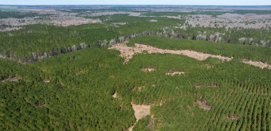 Wilcox Olcmulgee River Corridor Farm