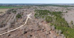 Wilcox Olcmulgee River Corridor Farm