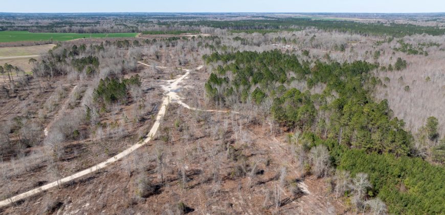 Wilcox Olcmulgee River Corridor Farm