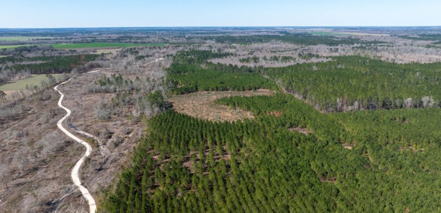 Wilcox Olcmulgee River Corridor Farm