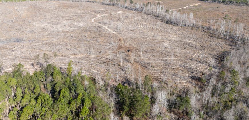 Laurens County Whitewater CreeK Farm