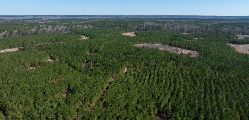 Wilcox Olcmulgee River Corridor Farm