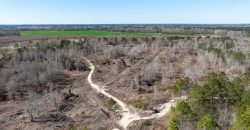 Wilcox Olcmulgee River Corridor Farm