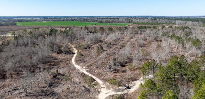 Wilcox Olcmulgee River Corridor Farm