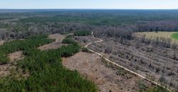 Wilcox Olcmulgee River Corridor Farm