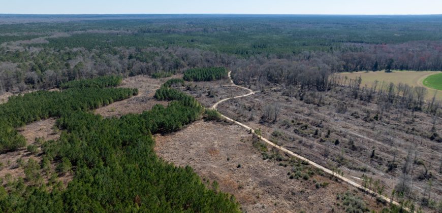 Wilcox Olcmulgee River Corridor Farm