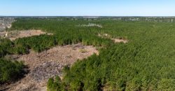 Wilcox Olcmulgee River Corridor Farm