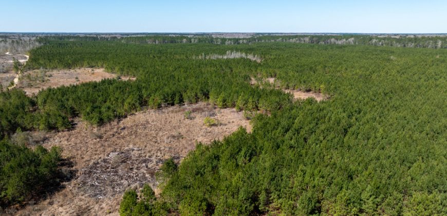 Wilcox Olcmulgee River Corridor Farm