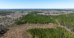 Wilcox Olcmulgee River Corridor Farm