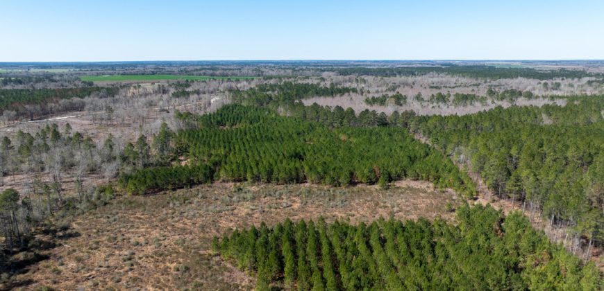 Wilcox Olcmulgee River Corridor Farm