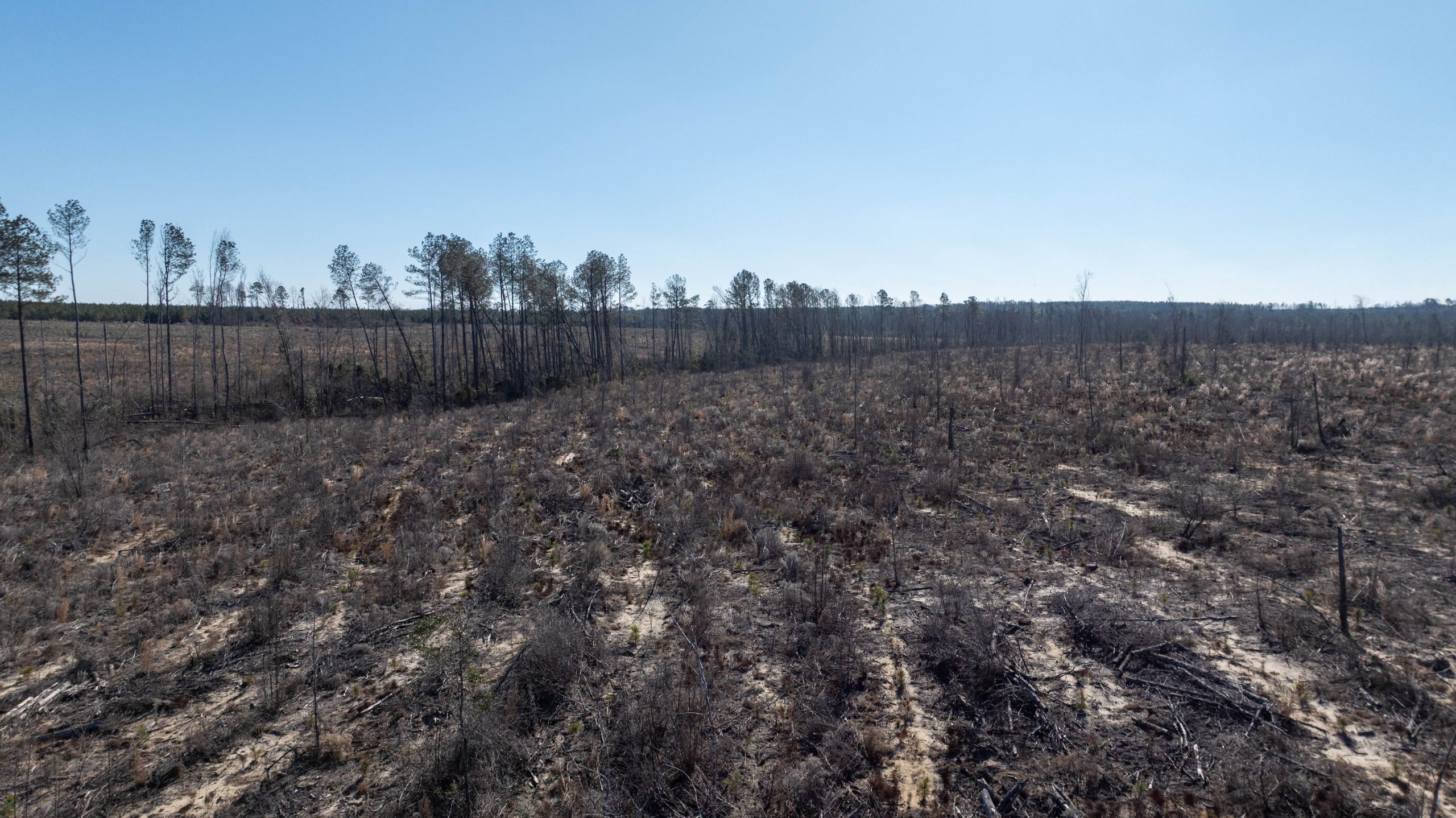 Laurens County Whitewater CreeK Farm