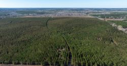 Laurens County Whitewater CreeK Farm