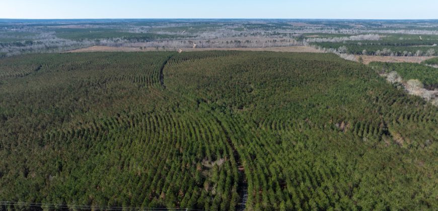 Laurens County Whitewater CreeK Farm