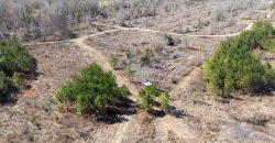 Wilcox Olcmulgee River Corridor Farm