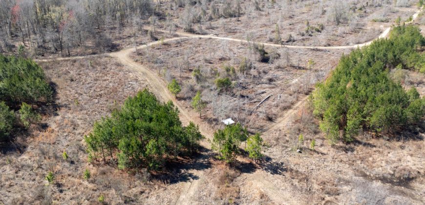 Wilcox Olcmulgee River Corridor Farm