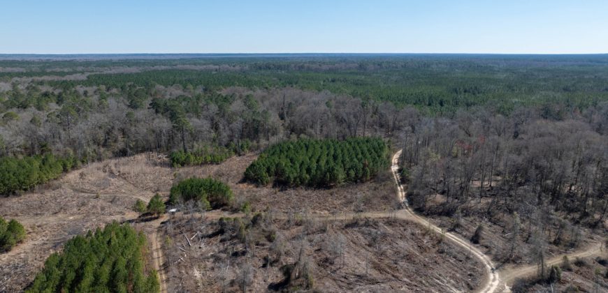 Wilcox Olcmulgee River Corridor Farm