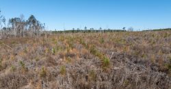 Laurens County Whitewater CreeK Farm