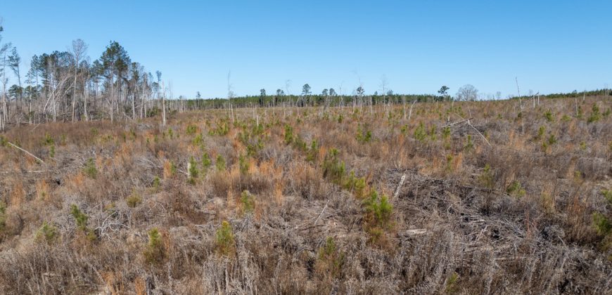 Laurens County Whitewater CreeK Farm