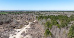 Wilcox Olcmulgee River Corridor Farm