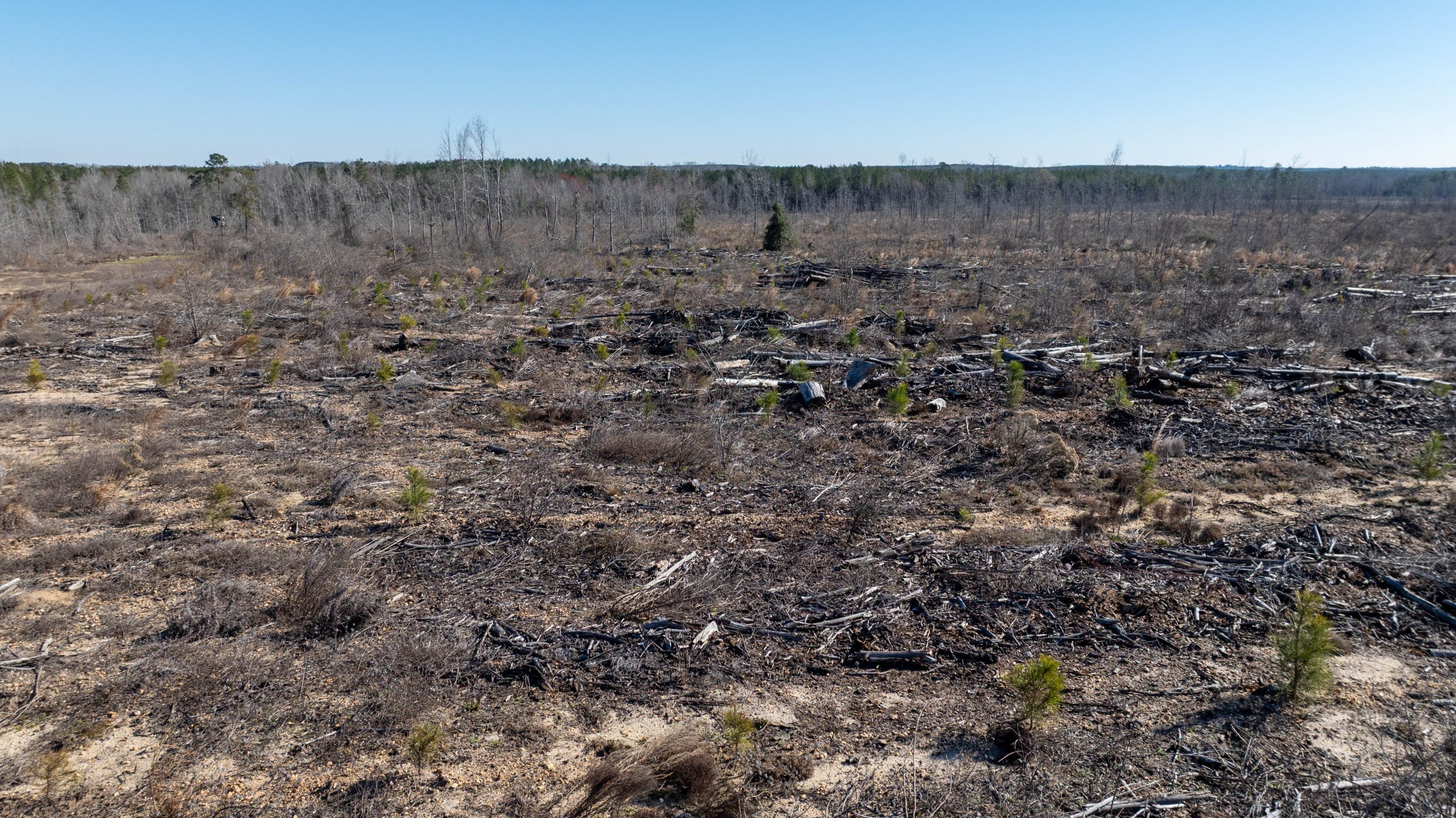 Laurens County Whitewater CreeK Farm