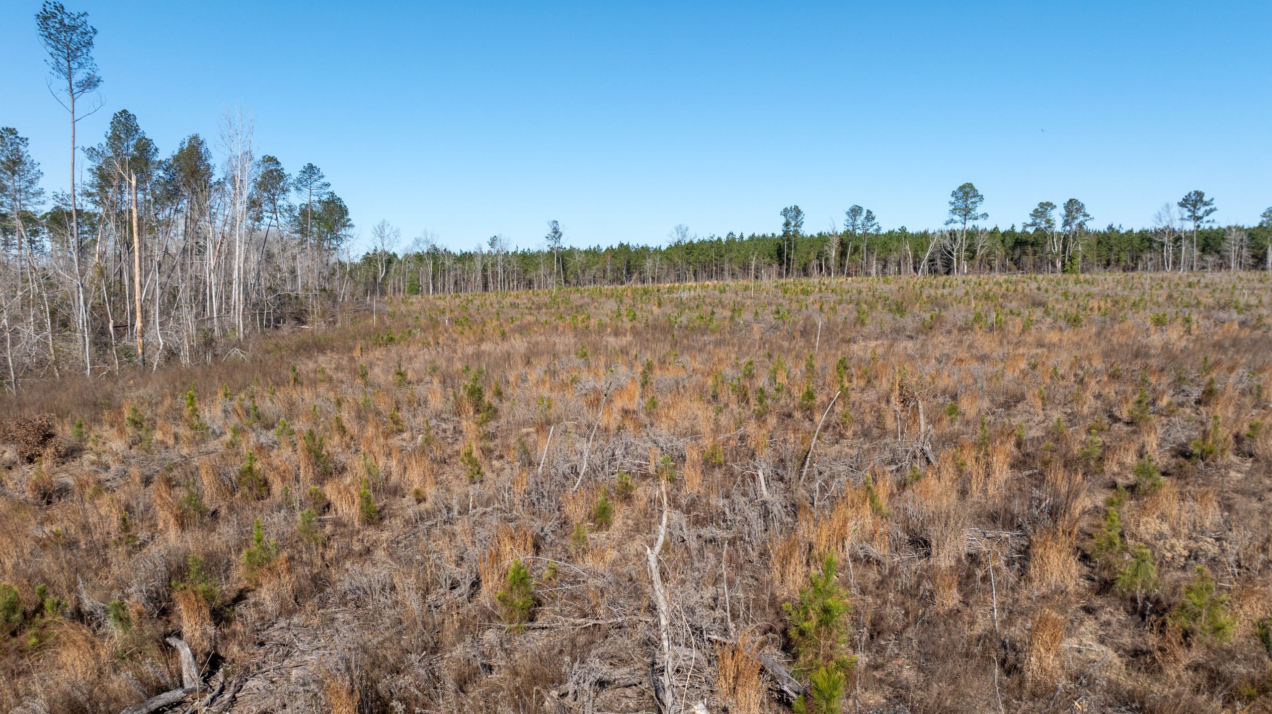Laurens County Whitewater CreeK Farm