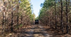 Laurens County Whitewater CreeK Farm