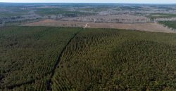 Laurens County Whitewater CreeK Farm