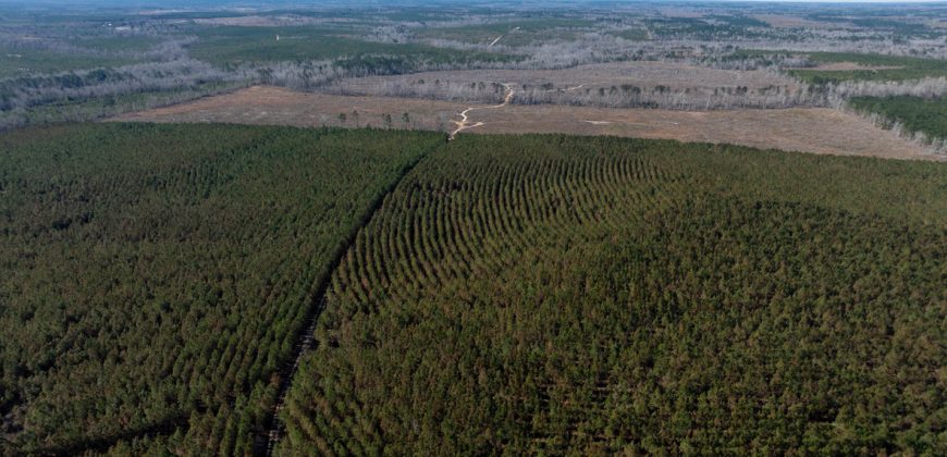 Laurens County Whitewater CreeK Farm