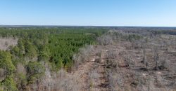 Wilcox Olcmulgee River Corridor Farm